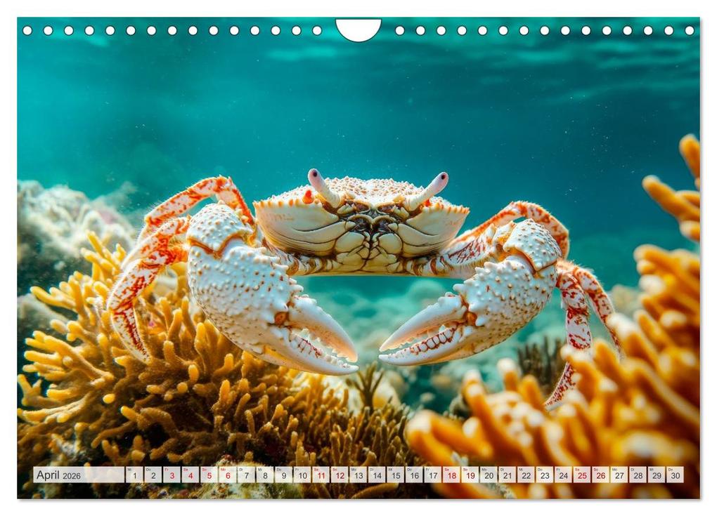 Weitere Ansicht: OZEANWELTEN Faszination Meerestiere (Wandkalender 2026 DIN A4 quer), CALVENDO Monatskalender | Melanie Viola, Calvendo