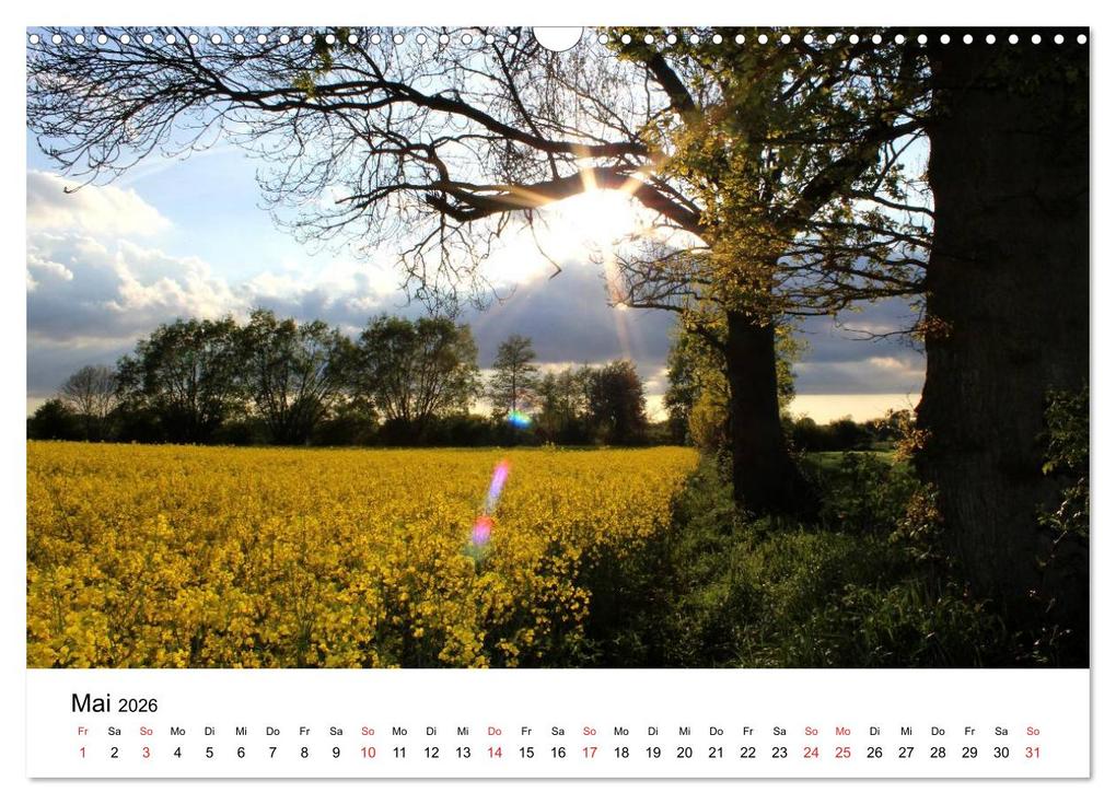 Weitere Ansicht: Schleswig-Holstein (Wandkalender 2026 DIN A3 quer), CALVENDO Monatskalender | Ralf Thomsen, Calvendo