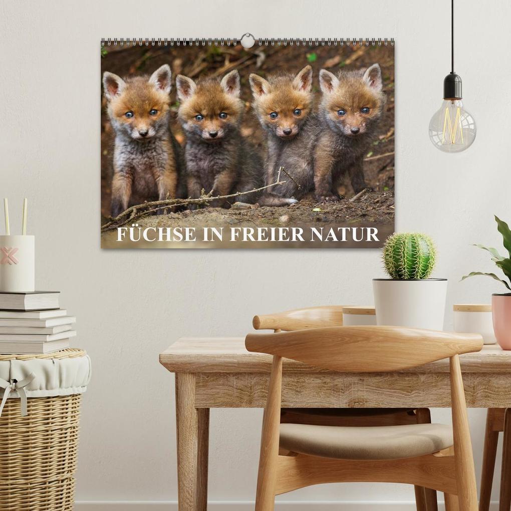 Weitere Ansicht: Füchse in freier Natur (Wandkalender 2026 DIN A3 quer), CALVENDO Monatskalender | Ulrich Hopp, , Calvendo