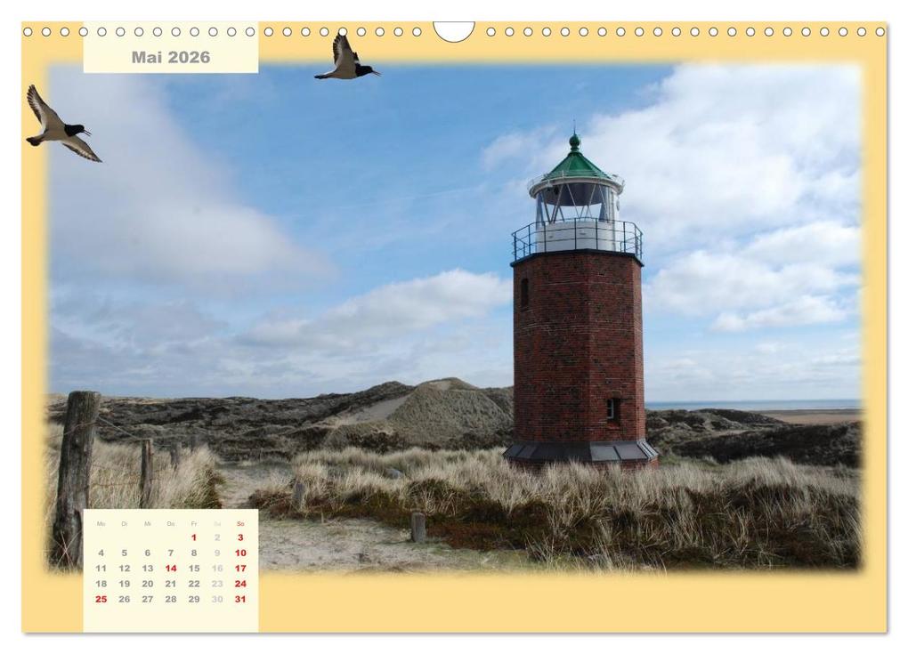 Weitere Ansicht: Leuchttürme Schleswig-Holsteins (Wandkalender 2026 DIN A3 quer), CALVENDO Monatskalender | Jessica Brandt, Calvendo
