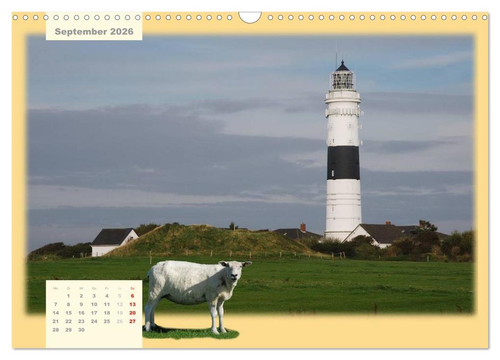 Weitere Ansicht: Leuchttürme Schleswig-Holsteins (Wandkalender 2026 DIN A3 quer), CALVENDO Monatskalender | Jessica Brandt, Calvendo