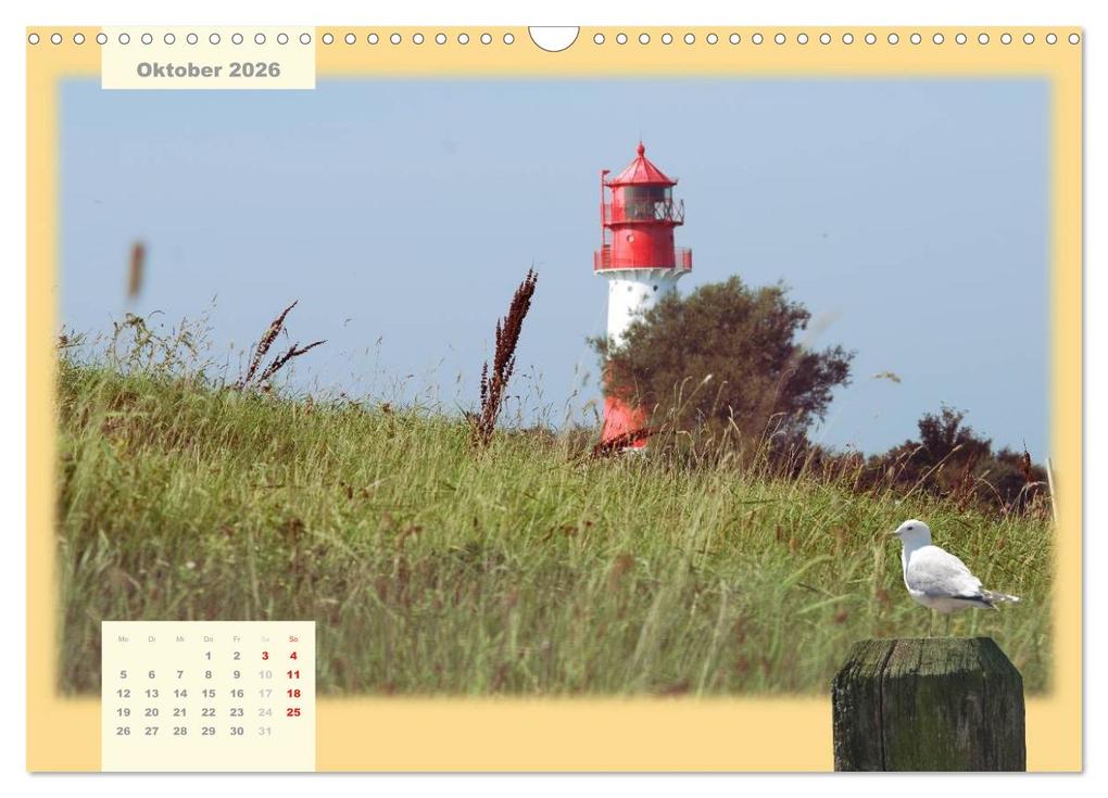 Weitere Ansicht: Leuchttürme Schleswig-Holsteins (Wandkalender 2026 DIN A3 quer), CALVENDO Monatskalender | Jessica Brandt, Calvendo