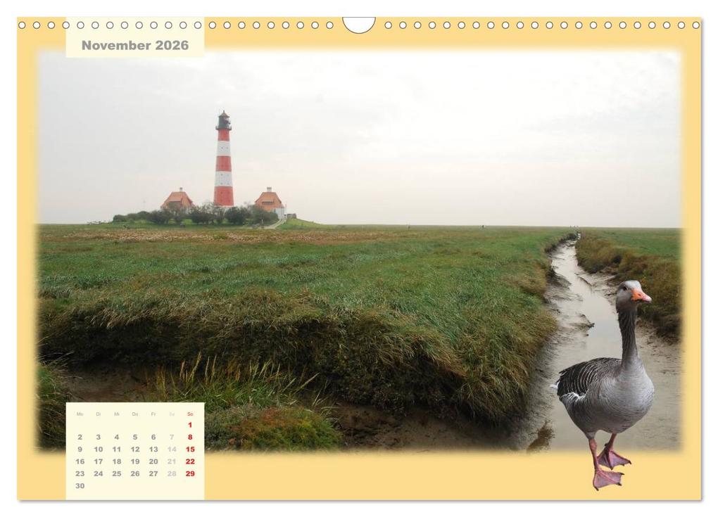 Weitere Ansicht: Leuchttürme Schleswig-Holsteins (Wandkalender 2026 DIN A3 quer), CALVENDO Monatskalender | Jessica Brandt, Calvendo