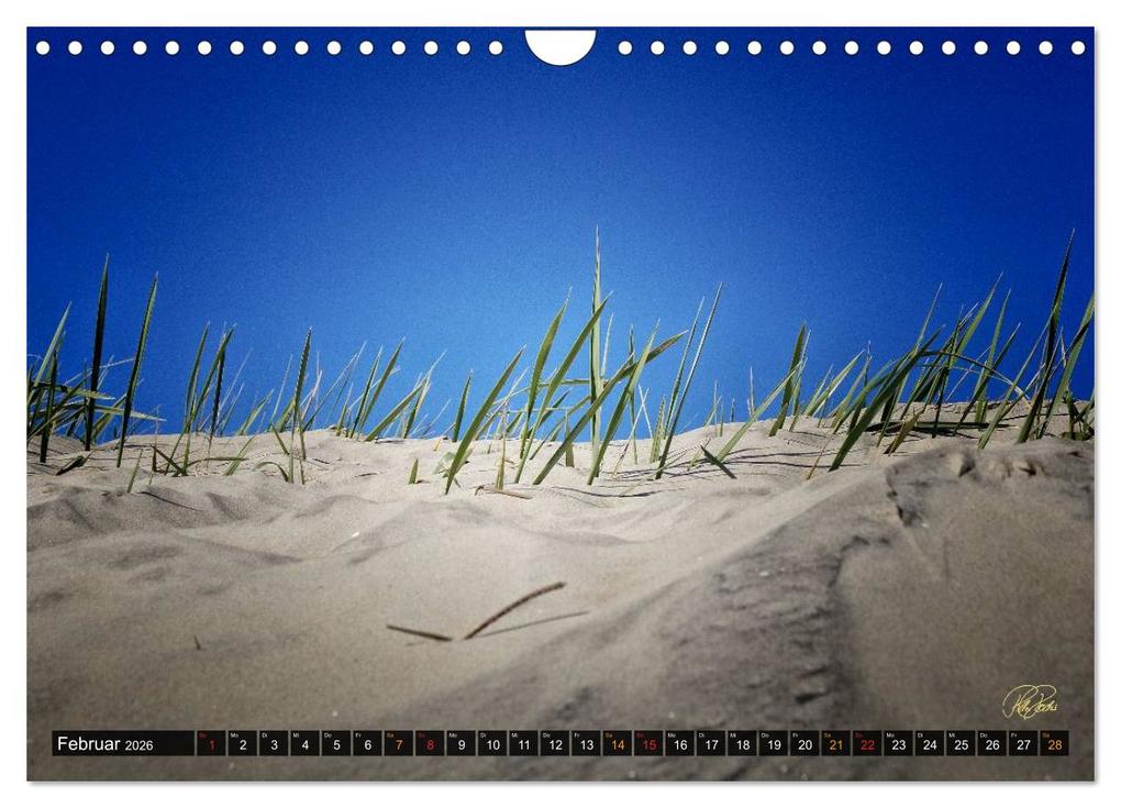 Weitere Ansicht: Nordsee-Dünen (Wandkalender 2026 DIN A4 quer), CALVENDO Monatskalender | Peter Roder, Calvendo