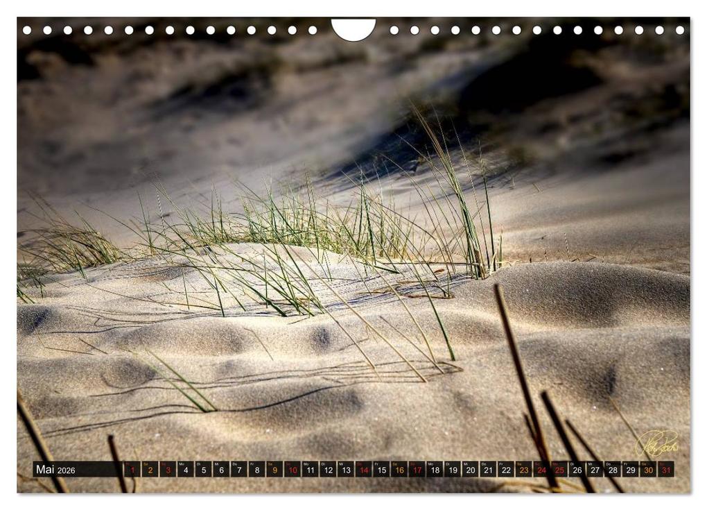 Weitere Ansicht: Nordsee-Dünen (Wandkalender 2026 DIN A4 quer), CALVENDO Monatskalender | Peter Roder, Calvendo