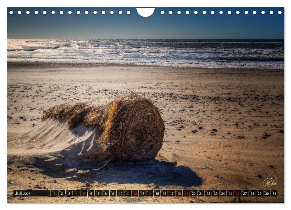 Weitere Ansicht: Nordsee-Dünen (Wandkalender 2026 DIN A4 quer), CALVENDO Monatskalender | Peter Roder, Calvendo