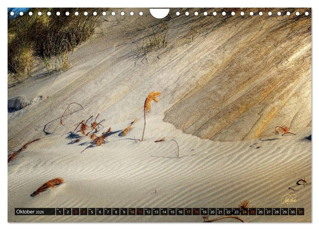 Weitere Ansicht: Nordsee-Dünen (Wandkalender 2026 DIN A4 quer), CALVENDO Monatskalender | Peter Roder, Calvendo
