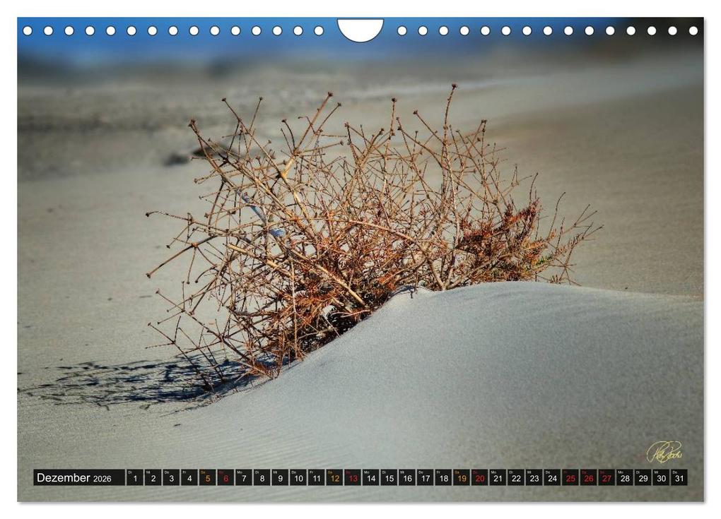 Weitere Ansicht: Nordsee-Dünen (Wandkalender 2026 DIN A4 quer), CALVENDO Monatskalender | Peter Roder, Calvendo