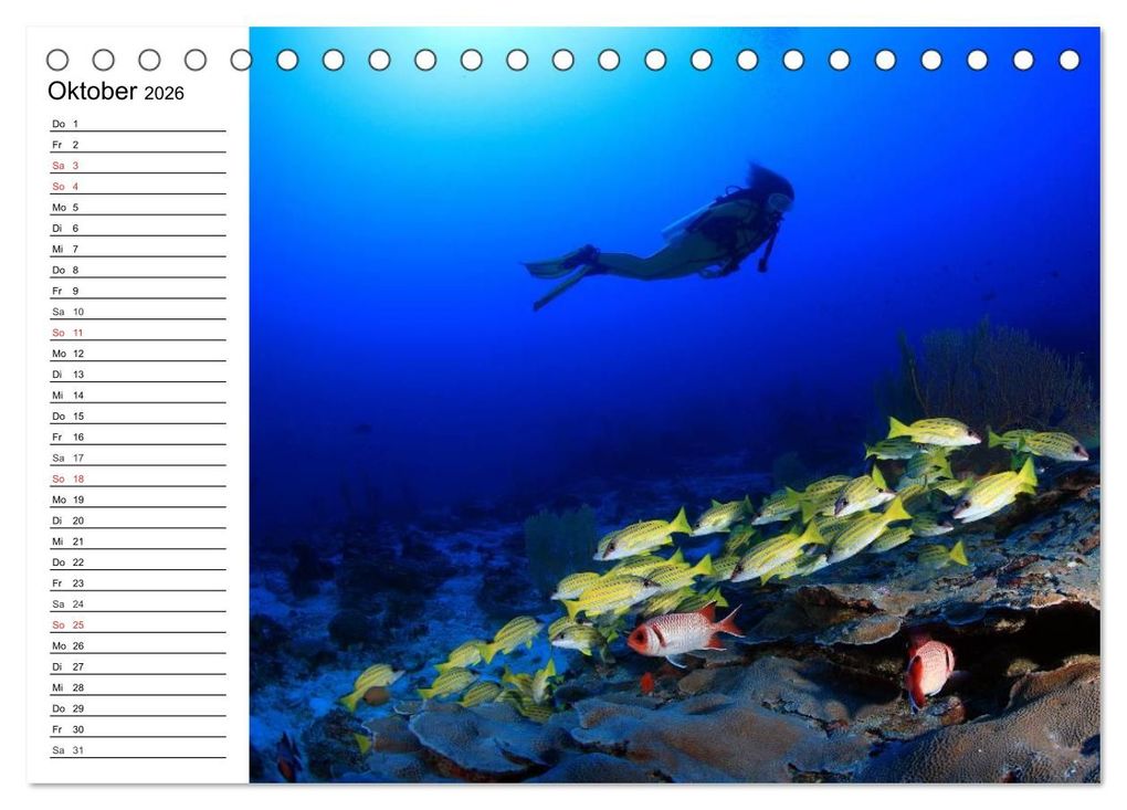 Weitere Ansicht: Tauchen - Abenteuer in Neptuns Wunderwelt (Tischkalender 2026 DIN A5 quer), CALVENDO Monatskalender | Elisabeth Stanzer, Calvendo