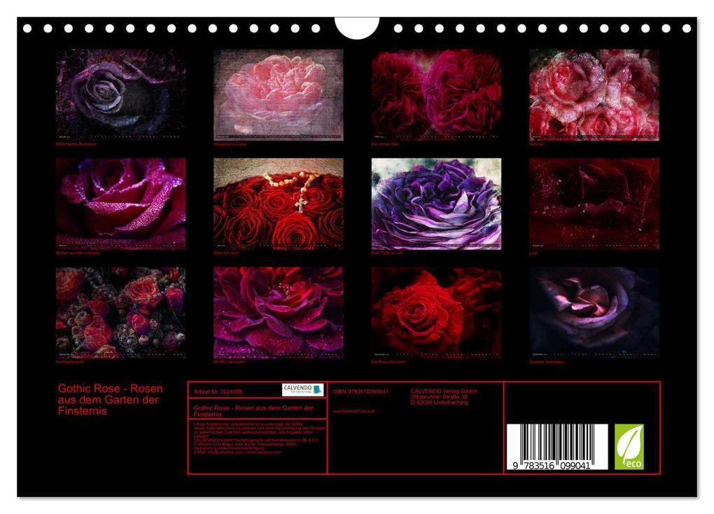 Weitere Ansicht: Gothic Rose - Rosen aus dem Garten der Finsternis (Wandkalender 2026 DIN A4 quer), CALVENDO Monatskalender | Martina Cross, Calvendo