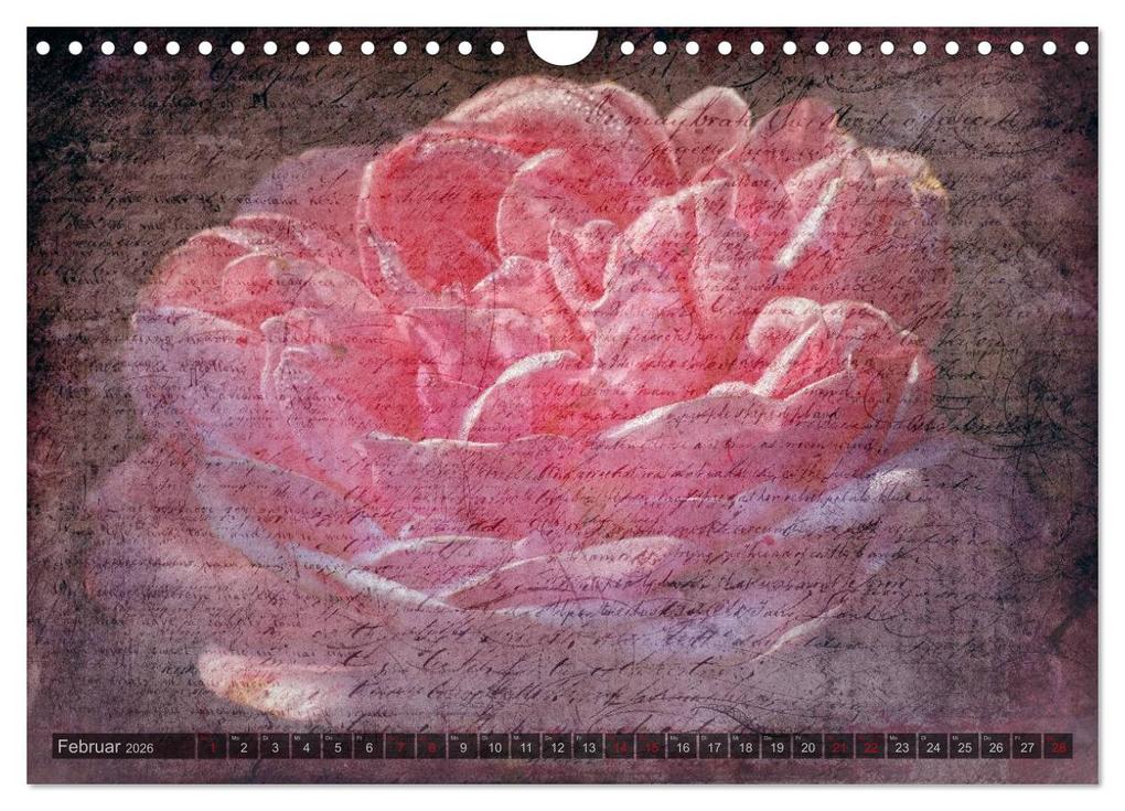 Weitere Ansicht: Gothic Rose - Rosen aus dem Garten der Finsternis (Wandkalender 2026 DIN A4 quer), CALVENDO Monatskalender | Martina Cross, Calvendo