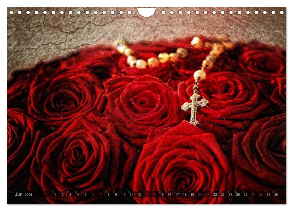Weitere Ansicht: Gothic Rose - Rosen aus dem Garten der Finsternis (Wandkalender 2026 DIN A4 quer), CALVENDO Monatskalender | Martina Cross, Calvendo