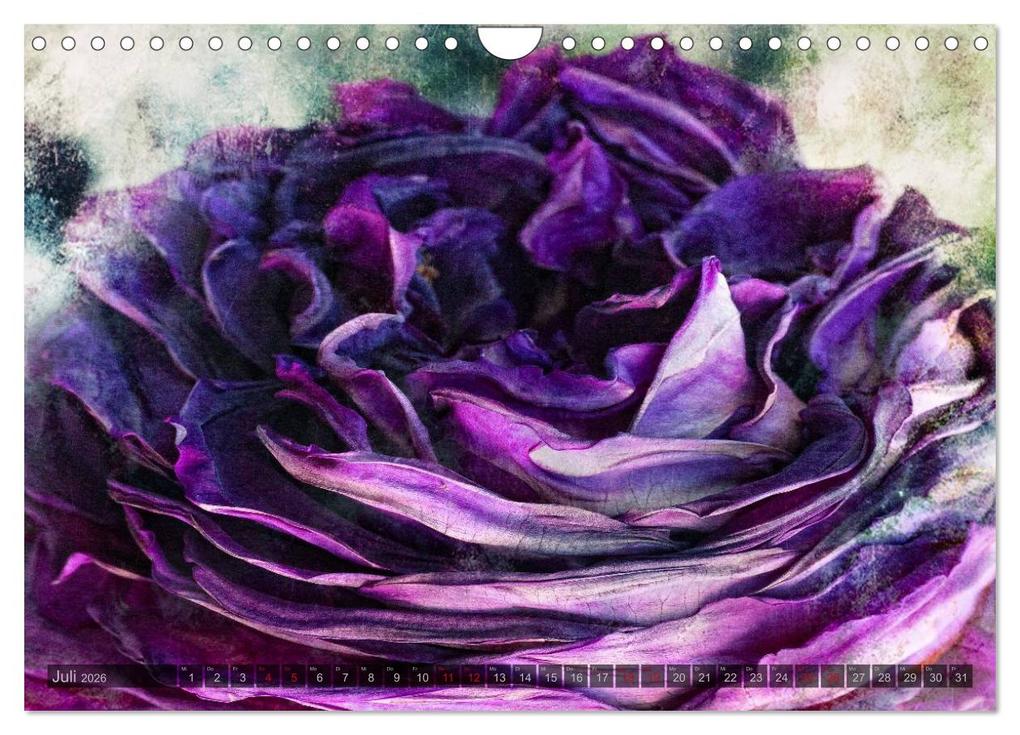 Weitere Ansicht: Gothic Rose - Rosen aus dem Garten der Finsternis (Wandkalender 2026 DIN A4 quer), CALVENDO Monatskalender | Martina Cross, Calvendo