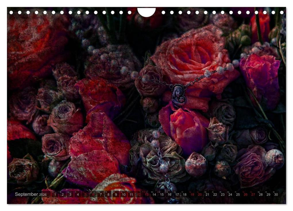 Weitere Ansicht: Gothic Rose - Rosen aus dem Garten der Finsternis (Wandkalender 2026 DIN A4 quer), CALVENDO Monatskalender | Martina Cross, Calvendo