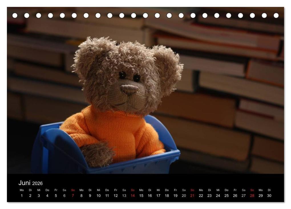 Weitere Ansicht: Herr Nopf ist da! (Tischkalender 2026 DIN A5 quer), CALVENDO Monatskalender | Michaela Kanthak, Calvendo