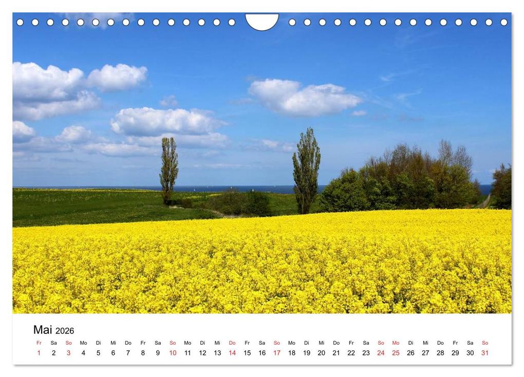 Weitere Ansicht: Ostseeküste 2026 (Wandkalender 2026 DIN A4 quer), CALVENDO Monatskalender | Ralf Thomsen, Calvendo