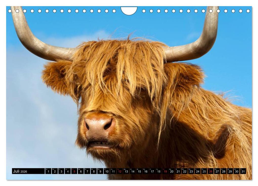 Weitere Ansicht: Schottland (Wandkalender 2026 DIN A4 quer), CALVENDO Monatskalender | Frauke Scholz, Calvendo