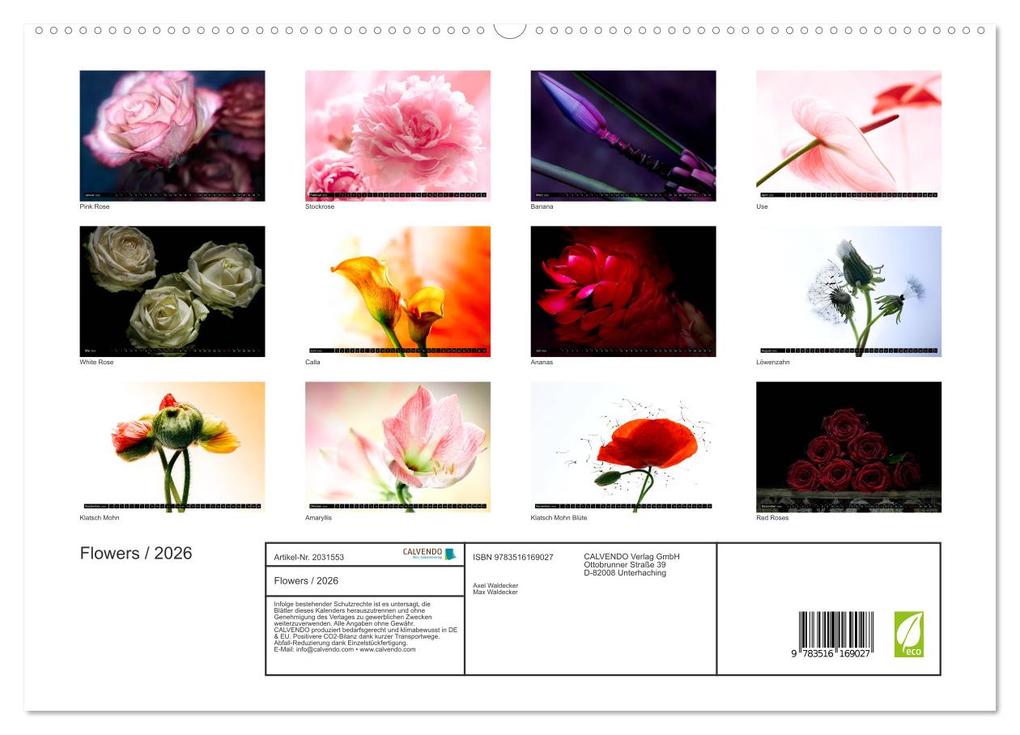 Weitere Ansicht: Flowers / 2026 (hochwertiger Premium Wandkalender 2026 DIN A2 quer), Kunstdruck in Hochglanz | Axel und Max Waldecker, Calvendo