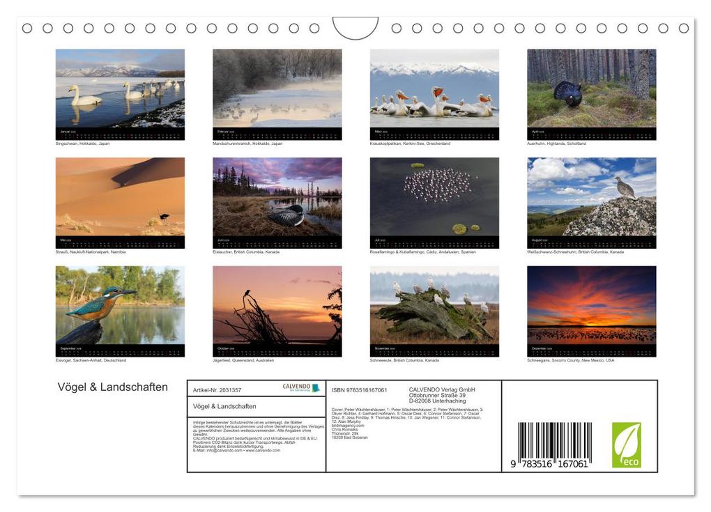 Weitere Ansicht: Vögel & Landschaften (Wandkalender 2026 DIN A4 quer), CALVENDO Monatskalender | birdimagency.com birdimagency.com, Calvendo, Birdimagency.com