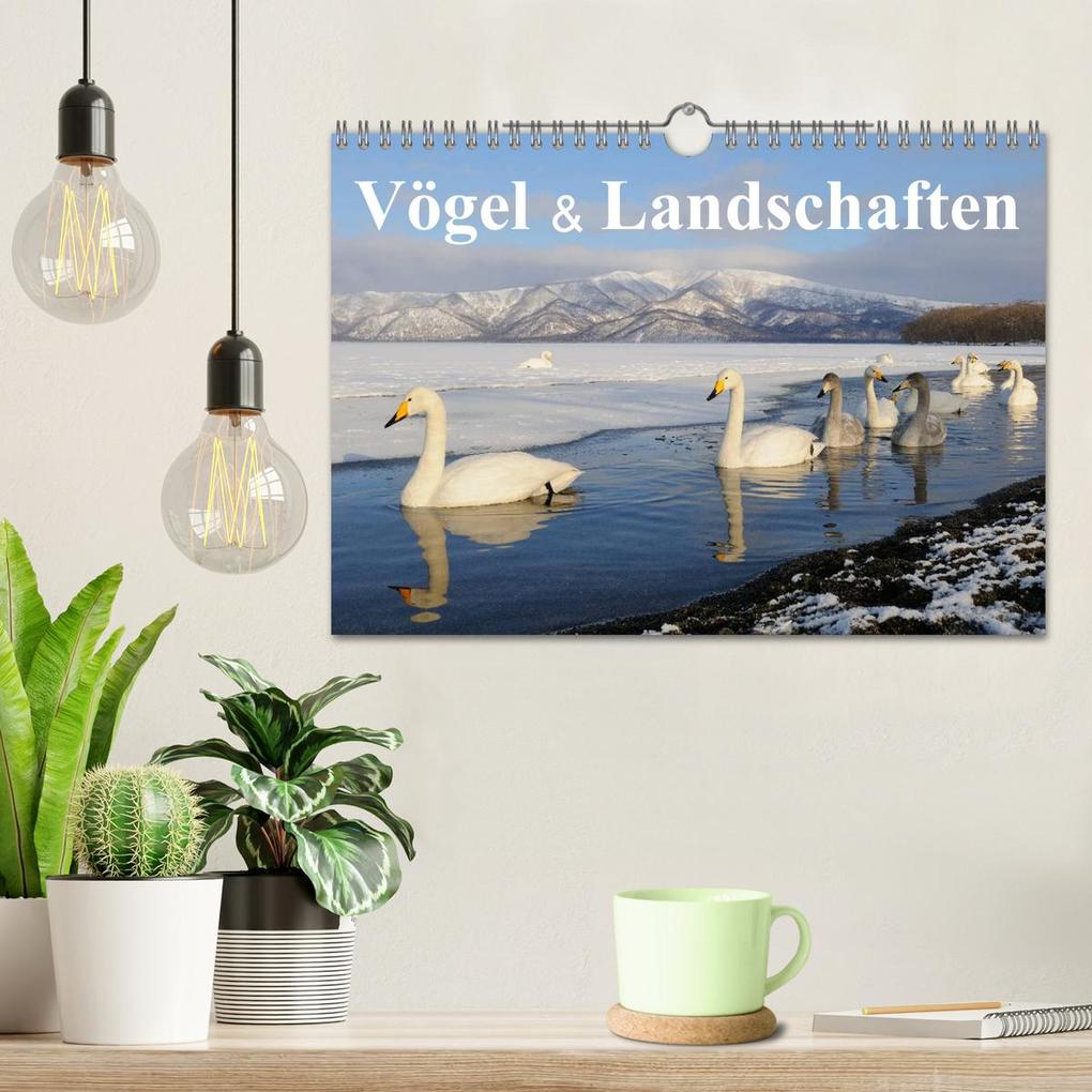 Weitere Ansicht: Vögel & Landschaften (Wandkalender 2026 DIN A4 quer), CALVENDO Monatskalender | birdimagency.com birdimagency.com, Calvendo, Birdimagency.com