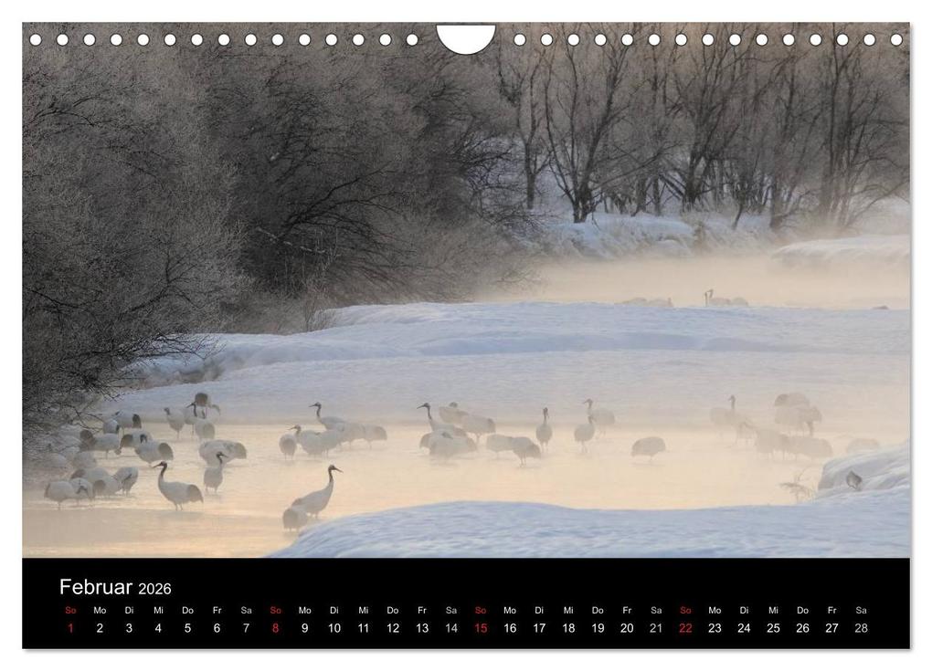 Weitere Ansicht: Vögel & Landschaften (Wandkalender 2026 DIN A4 quer), CALVENDO Monatskalender | birdimagency.com birdimagency.com, Calvendo, Birdimagency.com