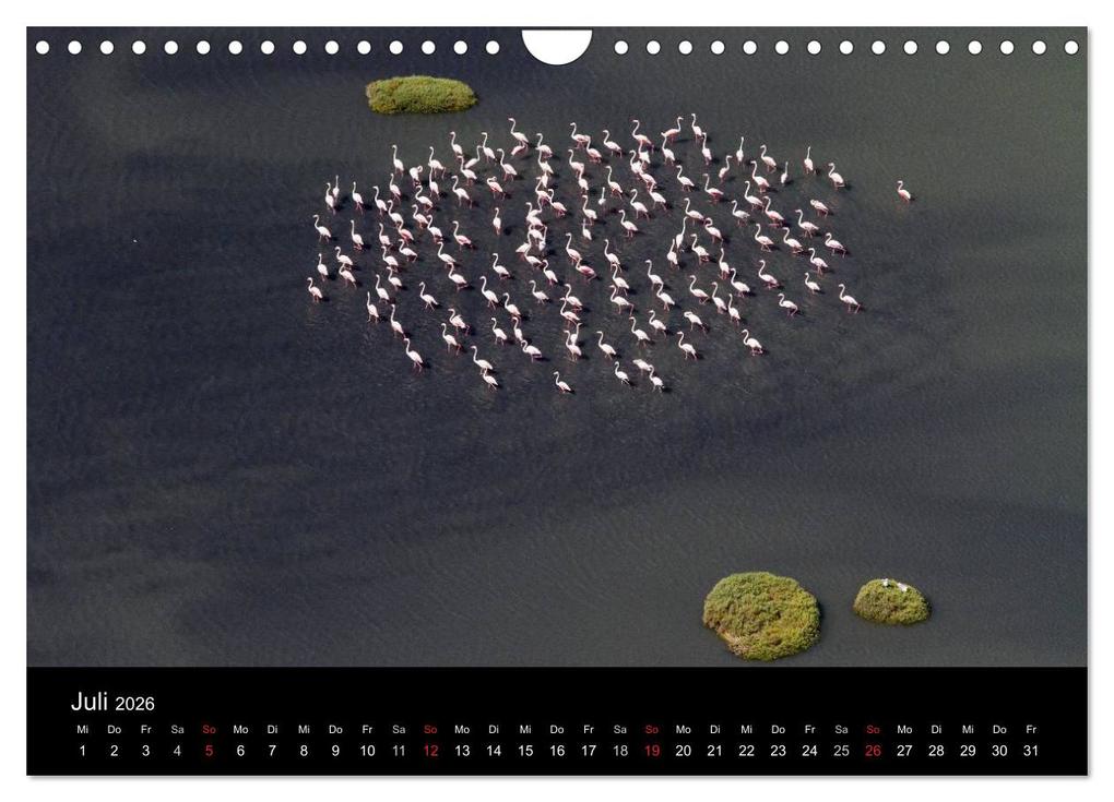 Weitere Ansicht: Vögel & Landschaften (Wandkalender 2026 DIN A4 quer), CALVENDO Monatskalender | birdimagency.com birdimagency.com, Calvendo, Birdimagency.com