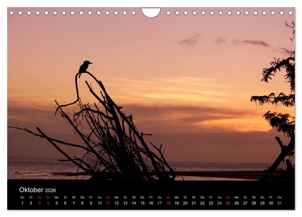 Weitere Ansicht: Vögel & Landschaften (Wandkalender 2026 DIN A4 quer), CALVENDO Monatskalender | birdimagency.com birdimagency.com, Calvendo, Birdimagency.com