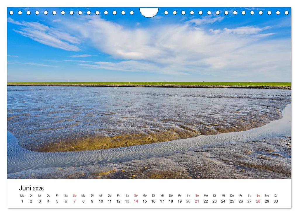 Weitere Ansicht: Dithmarschen - Der Landkreis (Wandkalender 2026 DIN A4 quer), CALVENDO Monatskalender | Rainer Plett, Calvendo