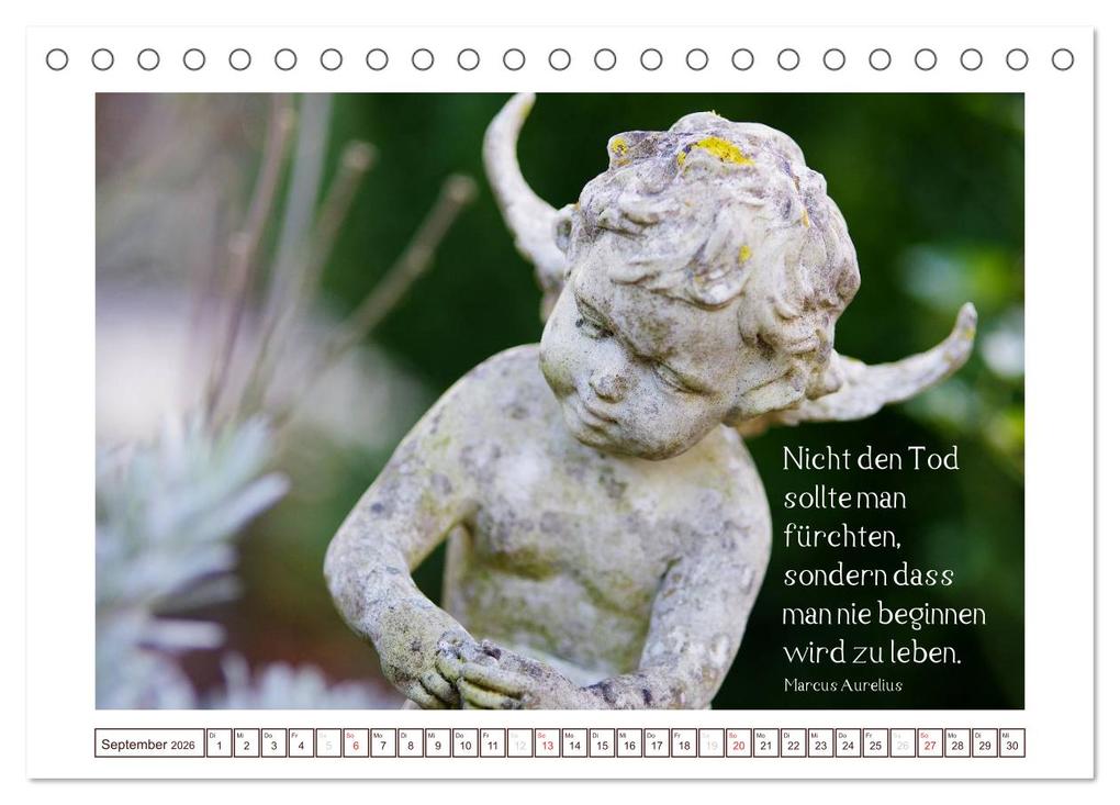 Weitere Ansicht: Engel-Kalender mit Zitaten (Tischkalender 2026 DIN A5 quer), CALVENDO Monatskalender | Tanja Riedel, Calvendo