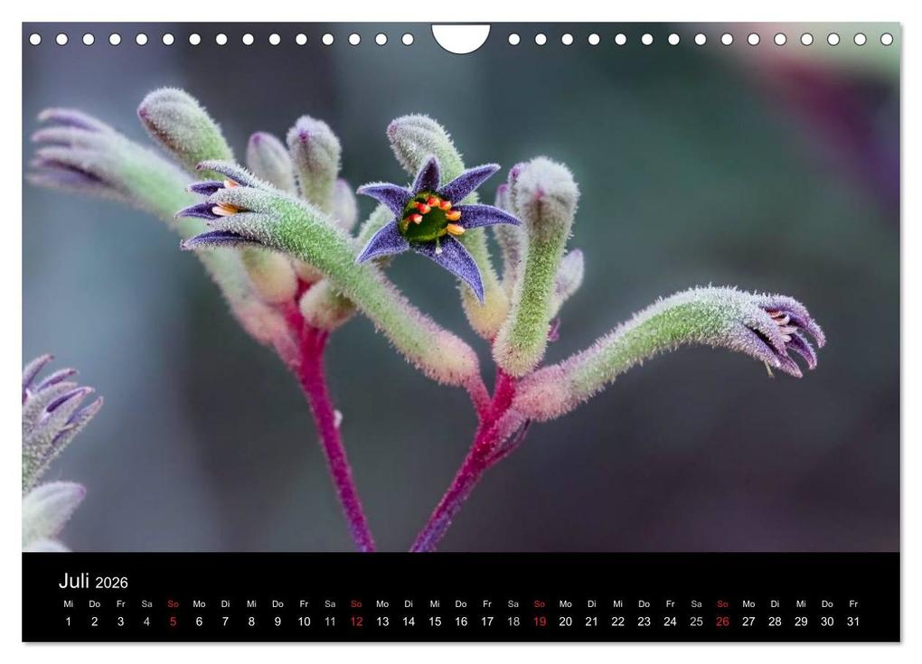 Weitere Ansicht: Australien 2026 Natur und Kultur (Wandkalender 2026 DIN A4 quer), CALVENDO Monatskalender | Uwe Bergwitz, Calvendo