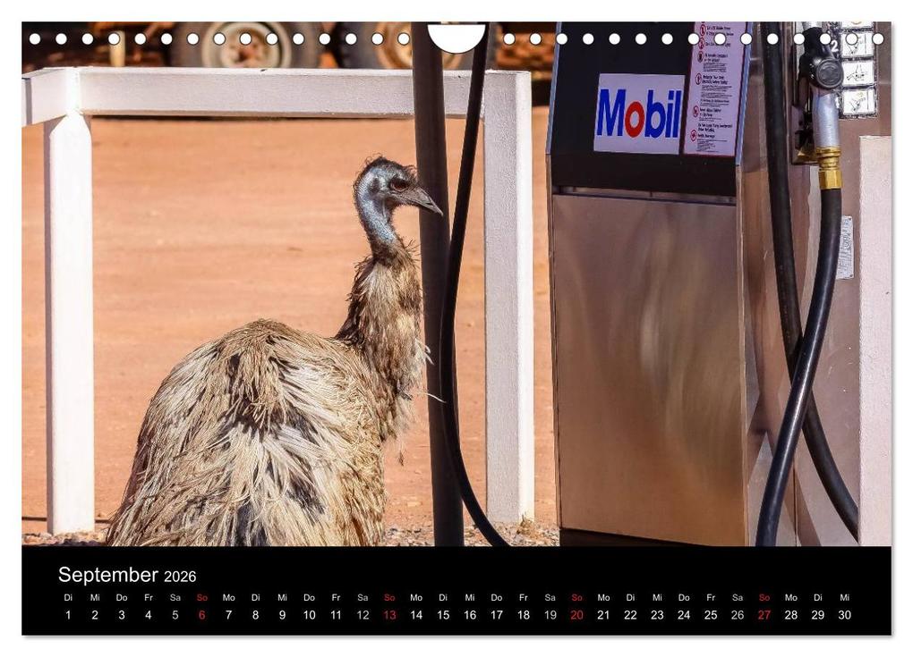 Weitere Ansicht: Australien 2026 Natur und Kultur (Wandkalender 2026 DIN A4 quer), CALVENDO Monatskalender | Uwe Bergwitz, Calvendo