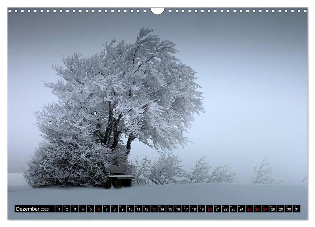 Weitere Ansicht: WETTER-LANDSCHAFTEN (Wandkalender 2026 DIN A3 quer), CALVENDO Monatskalender | Franz Schumacher, Calvendo