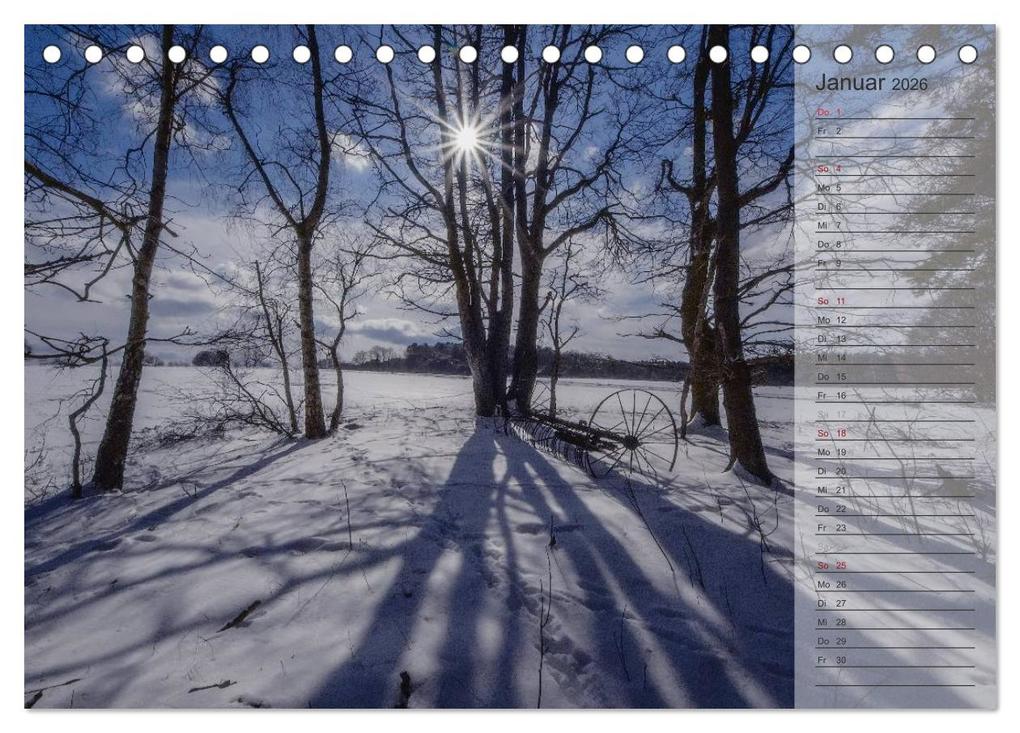 Weitere Ansicht: Unser Wald - Magische Sichten in norddeutsche Wälder / Geburtstagskalender (Tischkalender 2026 DIN A5 quer), CALVENDO Monatskalender | Heike Langenkamp, Calvendo