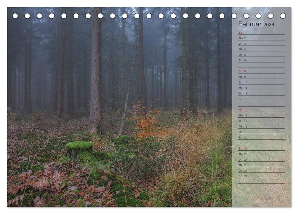 Weitere Ansicht: Unser Wald - Magische Sichten in norddeutsche Wälder / Geburtstagskalender (Tischkalender 2026 DIN A5 quer), CALVENDO Monatskalender | Heike Langenkamp, Calvendo