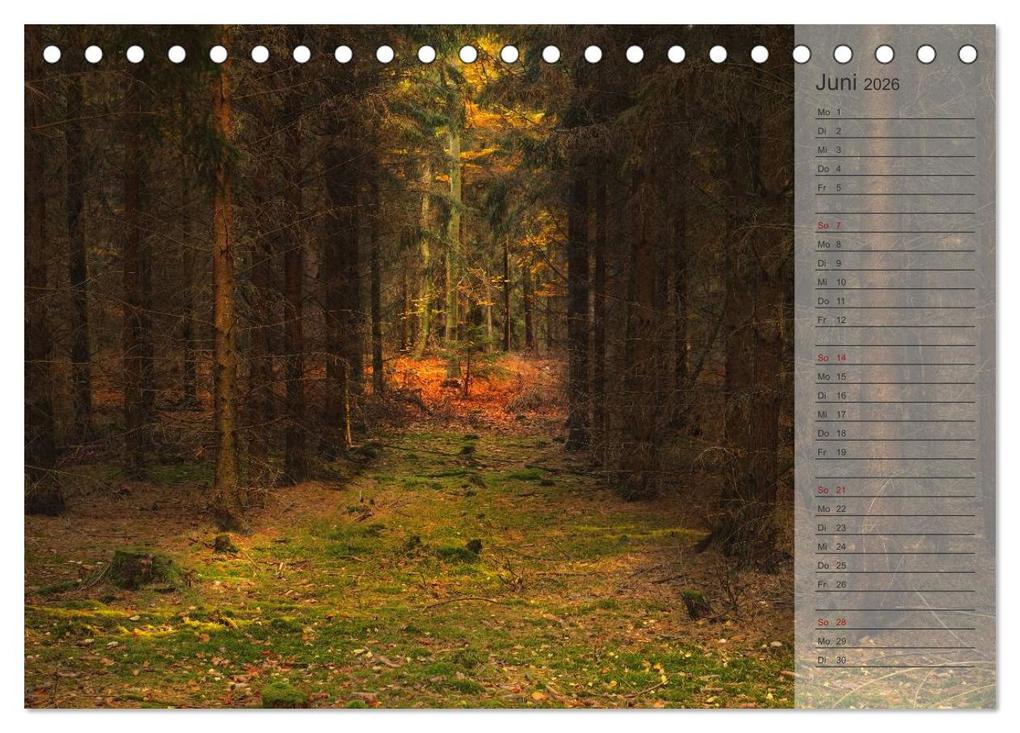 Weitere Ansicht: Unser Wald - Magische Sichten in norddeutsche Wälder / Geburtstagskalender (Tischkalender 2026 DIN A5 quer), CALVENDO Monatskalender | Heike Langenkamp, Calvendo