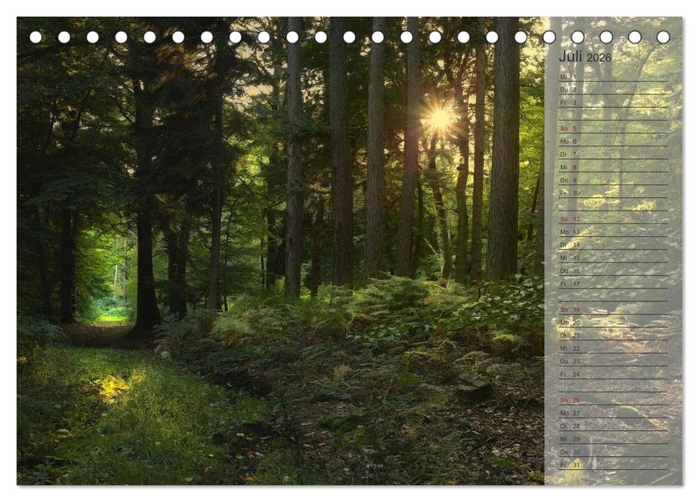 Weitere Ansicht: Unser Wald - Magische Sichten in norddeutsche Wälder / Geburtstagskalender (Tischkalender 2026 DIN A5 quer), CALVENDO Monatskalender | Heike Langenkamp, Calvendo