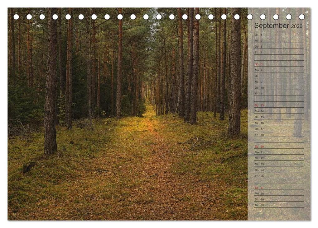 Weitere Ansicht: Unser Wald - Magische Sichten in norddeutsche Wälder / Geburtstagskalender (Tischkalender 2026 DIN A5 quer), CALVENDO Monatskalender | Heike Langenkamp, Calvendo