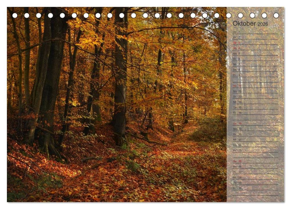 Weitere Ansicht: Unser Wald - Magische Sichten in norddeutsche Wälder / Geburtstagskalender (Tischkalender 2026 DIN A5 quer), CALVENDO Monatskalender | Heike Langenkamp, Calvendo