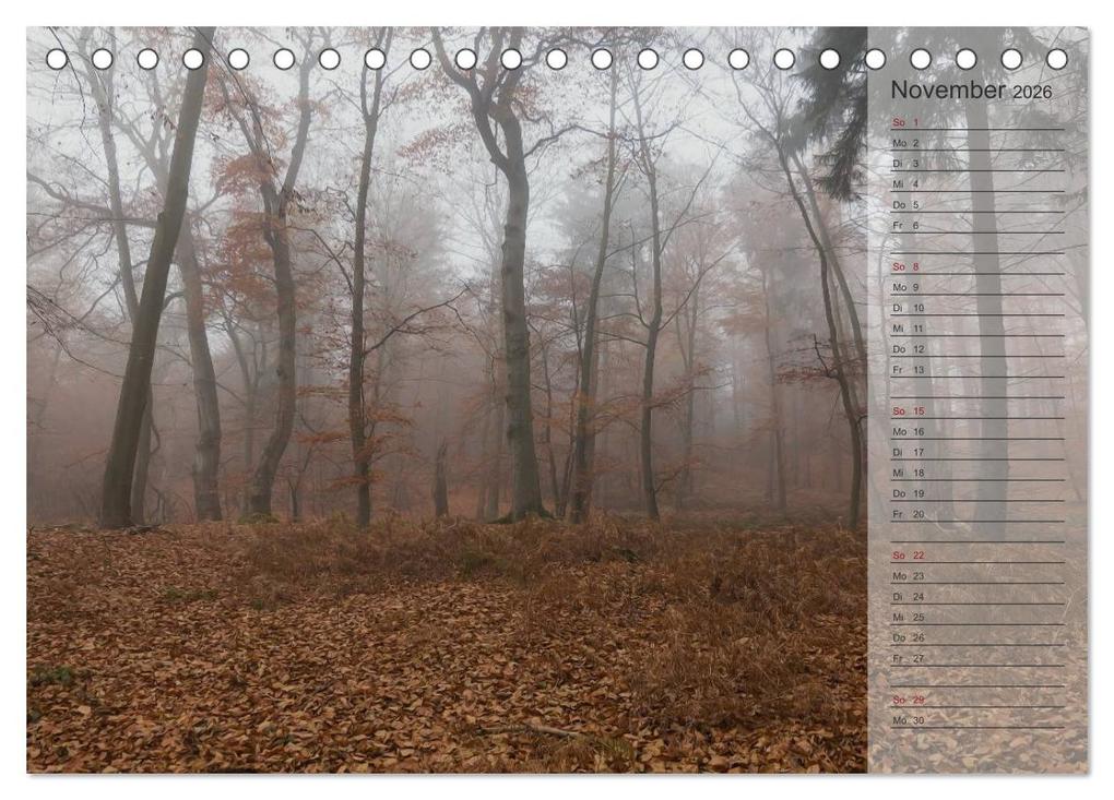 Weitere Ansicht: Unser Wald - Magische Sichten in norddeutsche Wälder / Geburtstagskalender (Tischkalender 2026 DIN A5 quer), CALVENDO Monatskalender | Heike Langenkamp, Calvendo