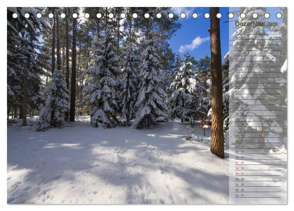 Weitere Ansicht: Unser Wald - Magische Sichten in norddeutsche Wälder / Geburtstagskalender (Tischkalender 2026 DIN A5 quer), CALVENDO Monatskalender | Heike Langenkamp, Calvendo
