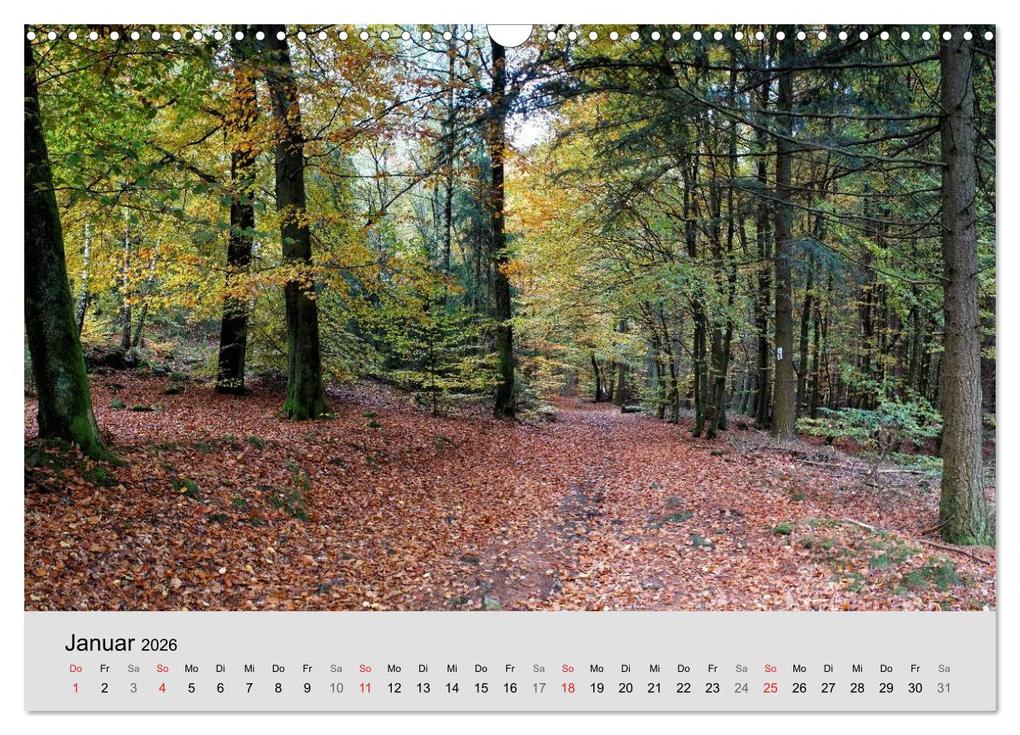 Weitere Ansicht: Saarland - unbekannte Schönheit (Wandkalender 2026 DIN A3 quer), CALVENDO Monatskalender | Thomas Becker, Calvendo