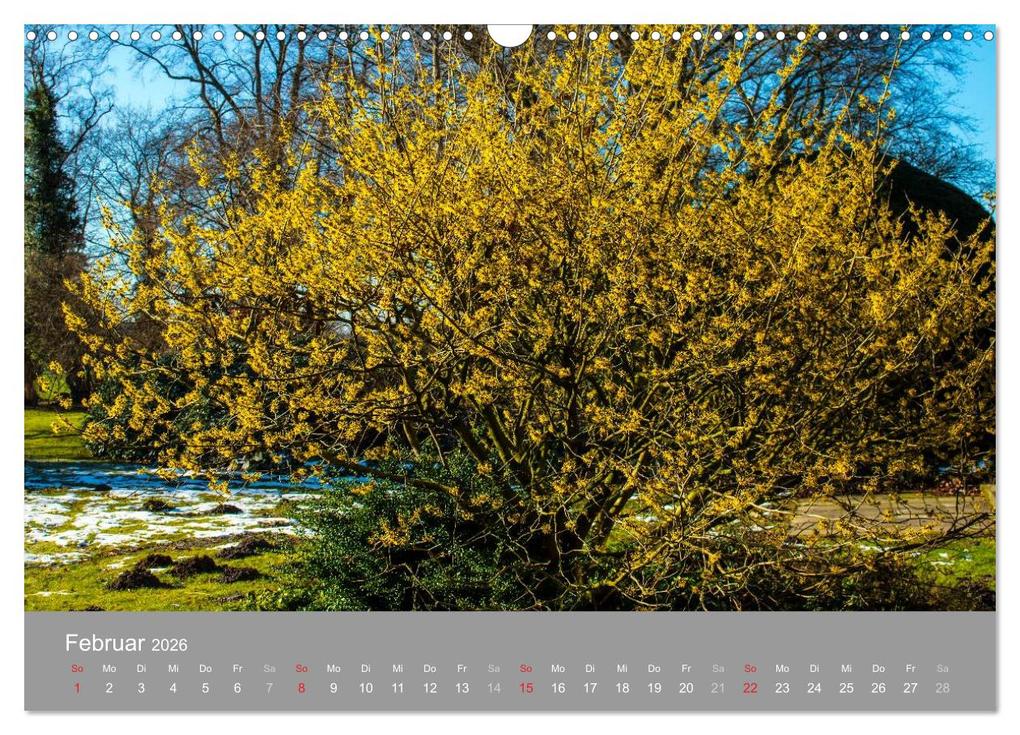 Weitere Ansicht: Romantische Garten-Paradiese (Wandkalender 2026 DIN A3 quer), CALVENDO Monatskalender | Heinz E. Hornecker, Calvendo