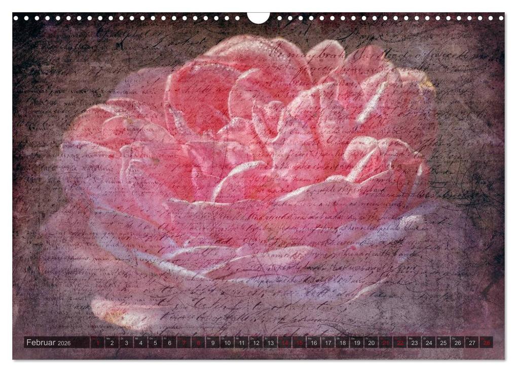 Weitere Ansicht: Gothic Rose - Rosen aus dem Garten der Finsternis (Wandkalender 2026 DIN A3 quer), CALVENDO Monatskalender | Martina Cross, Calvendo