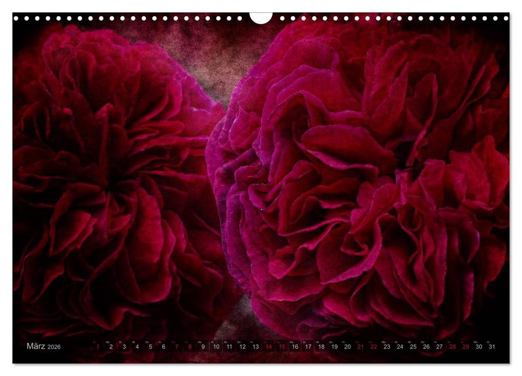 Weitere Ansicht: Gothic Rose - Rosen aus dem Garten der Finsternis (Wandkalender 2026 DIN A3 quer), CALVENDO Monatskalender | Martina Cross, Calvendo