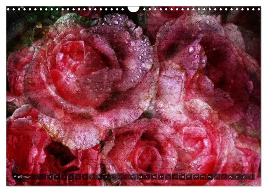 Weitere Ansicht: Gothic Rose - Rosen aus dem Garten der Finsternis (Wandkalender 2026 DIN A3 quer), CALVENDO Monatskalender | Martina Cross, Calvendo