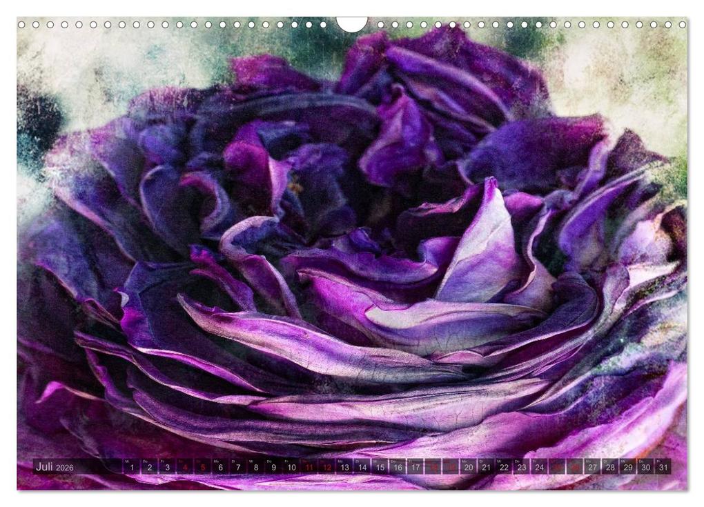 Weitere Ansicht: Gothic Rose - Rosen aus dem Garten der Finsternis (Wandkalender 2026 DIN A3 quer), CALVENDO Monatskalender | Martina Cross, Calvendo