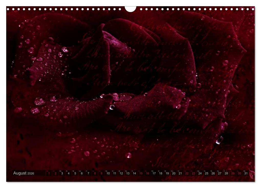 Weitere Ansicht: Gothic Rose - Rosen aus dem Garten der Finsternis (Wandkalender 2026 DIN A3 quer), CALVENDO Monatskalender | Martina Cross, Calvendo