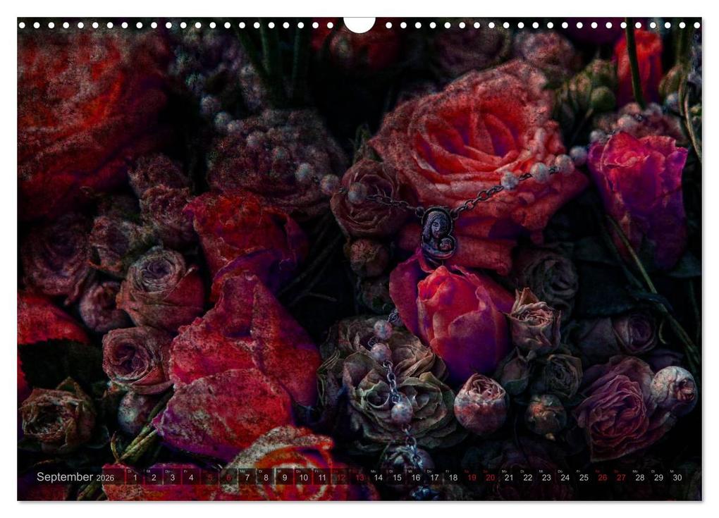 Weitere Ansicht: Gothic Rose - Rosen aus dem Garten der Finsternis (Wandkalender 2026 DIN A3 quer), CALVENDO Monatskalender | Martina Cross, Calvendo