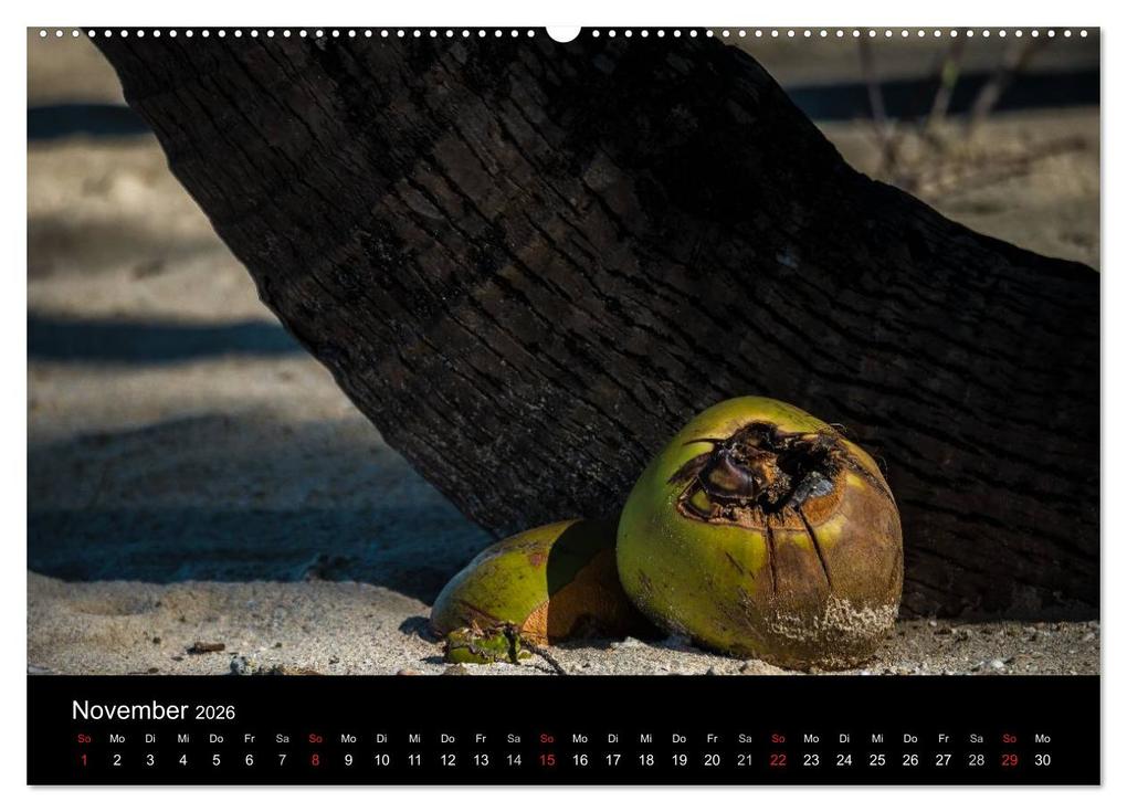 Weitere Ansicht: Myanmar - Eindrücke (hochwertiger Premium Wandkalender 2026 DIN A2 quer), Kunstdruck in Hochglanz | Britta Knappmann, Calvendo