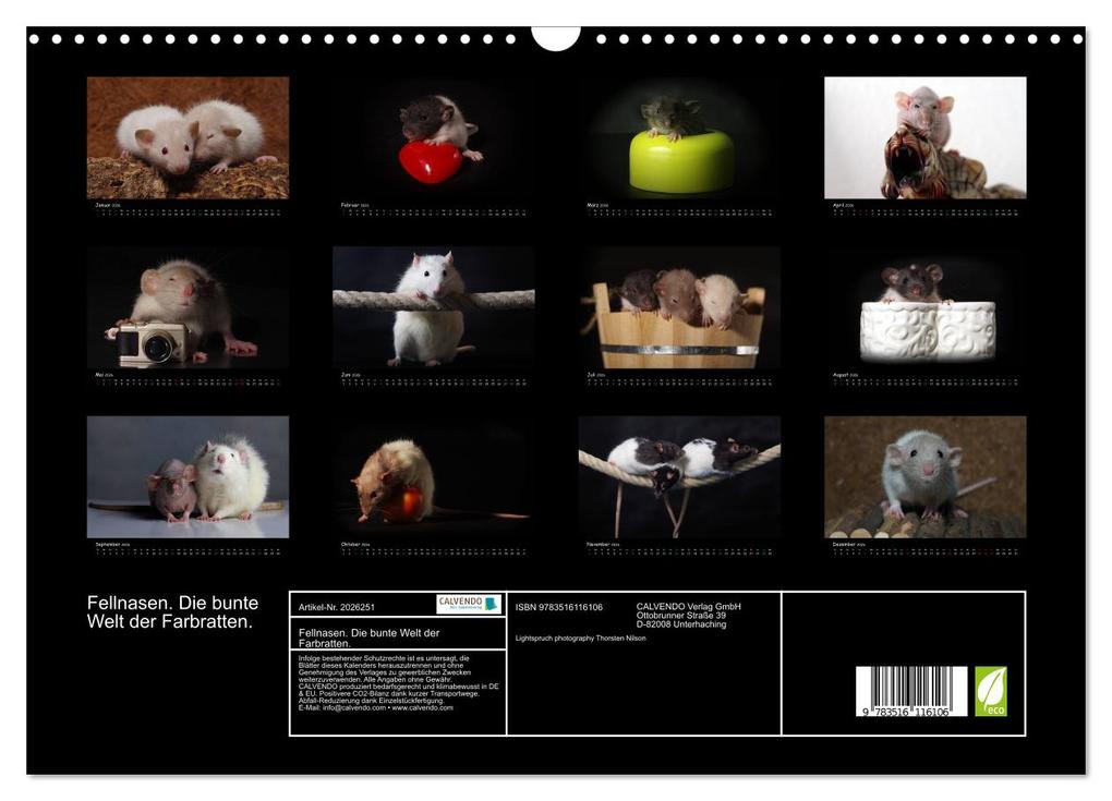 Weitere Ansicht: Fellnasen. Die bunte Welt der Farbratten. (Wandkalender 2026 DIN A3 quer), CALVENDO Monatskalender | Thorsten Nilson, Calvendo